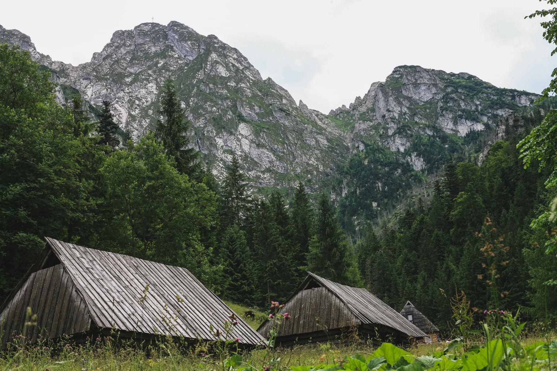 Dolina Strążyska i Siklawica — zdjęcie 4