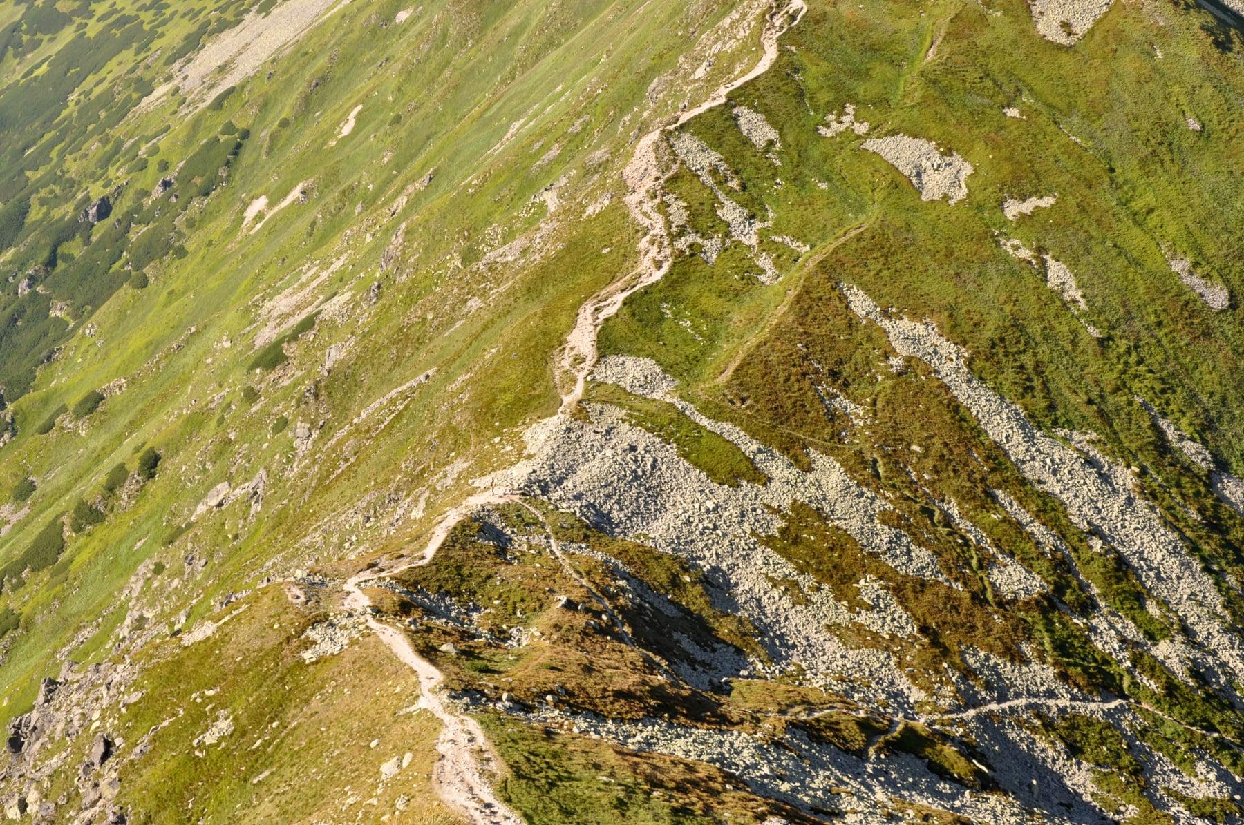 Grześ - Rakoń - Wołowiec — zdjęcie 7