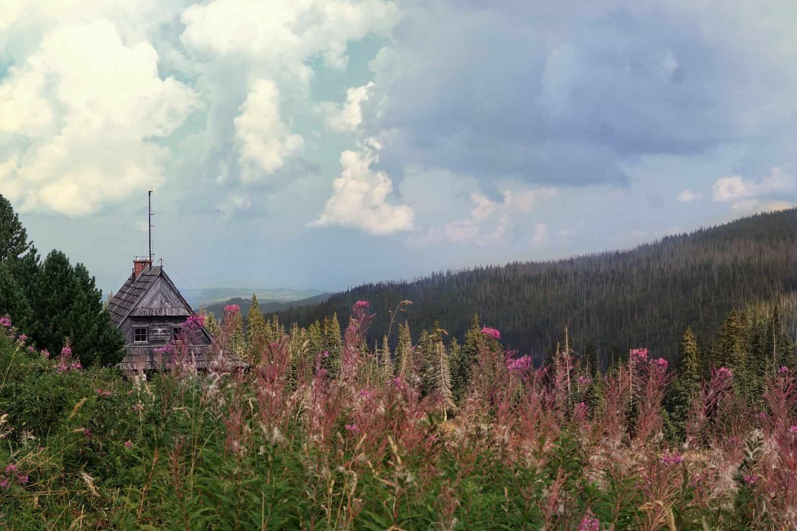 Hala Gąsienicowa — zdjęcie 8