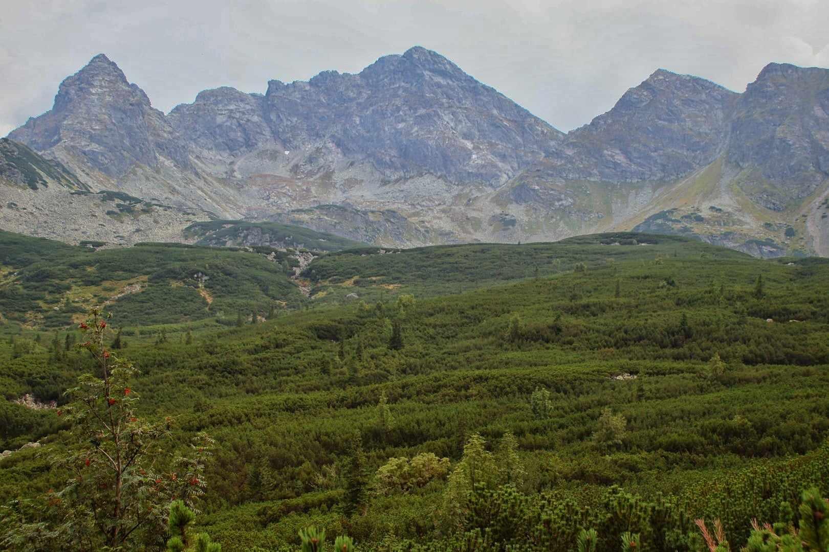 Kasprowy Wierch — zdjęcie 5