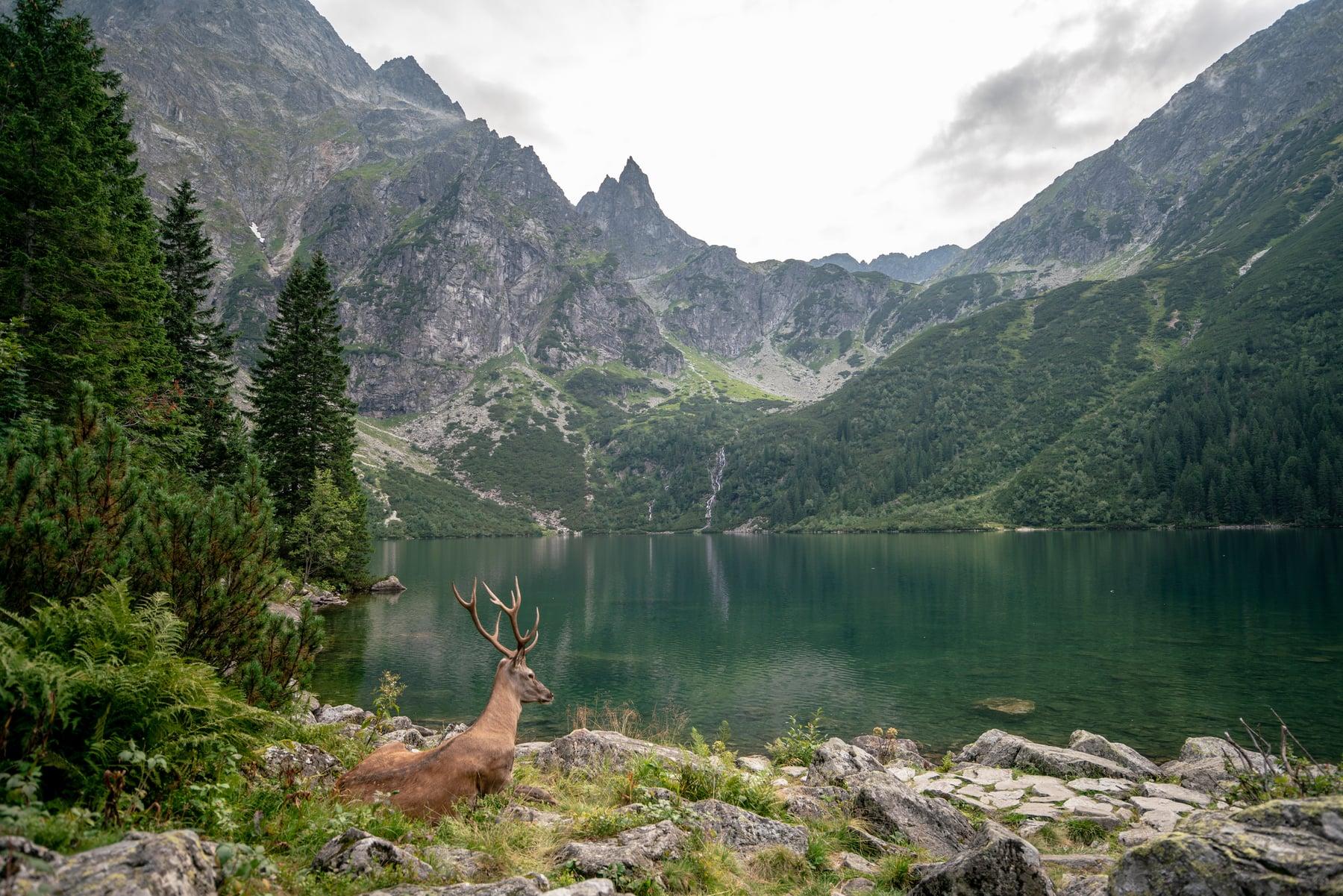 Morskie oko — zdjęcie 1