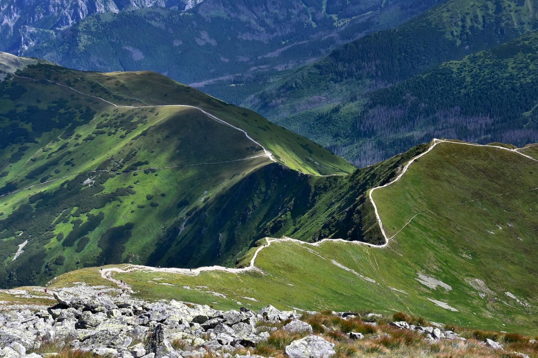 Starorobociański Wierch — zdjęcie 3